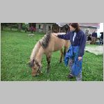 p1010233 [800x600].jpg